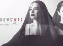 Widow’s War
